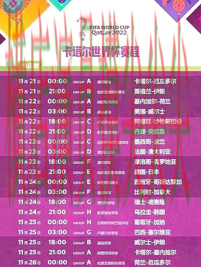 精选世界杯买球网站：从赛事直播到直播观看全流程解析 - FIFA World Cup 2026